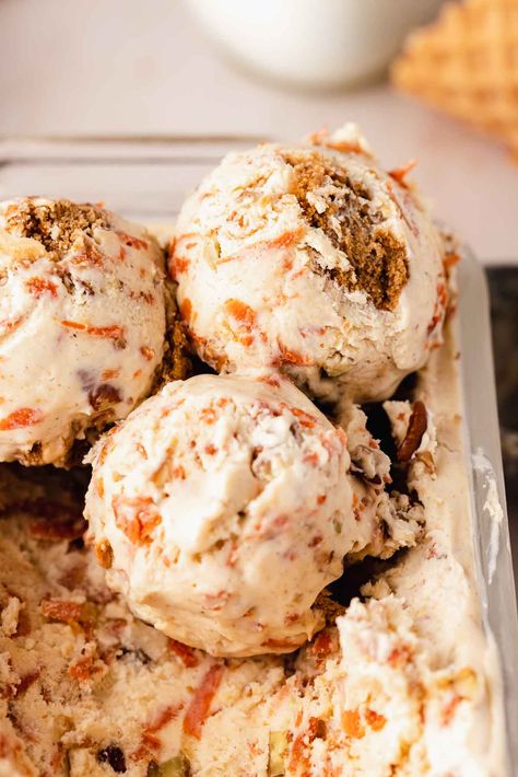 Carrot Ice Cream Cake, Ice Cream Carrot Cake, Carrot Cake Ice Cream Cake Recipes, Carrot Cake Ninja Creami, Sourdough Ice Cream, Savory Ice Cream, Carrot Cake Ice Cream Recipe, Carrot Ice Cream, Homemade Ice Cream Flavors