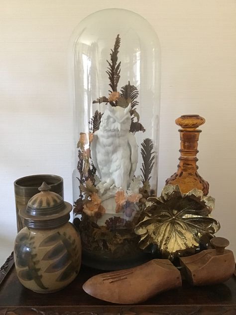 Extra large antique garden hand blown dome cloche with porcelain owl and paper flowers. Find beautiful home decor in our shop and see inventory @vintissima.decor Brandywine View Antiques Th-Sun 10-5 10k sq ft 1244 Baltimore Pike Chadds Ford, Pa 19317 Garden Dome, Glass Dome Cloche, Glass Dome Display, Antique Garden, Eclectic Living Room, Beautiful Home Decor, Glass Garden, Glass Dome, Antique Glass