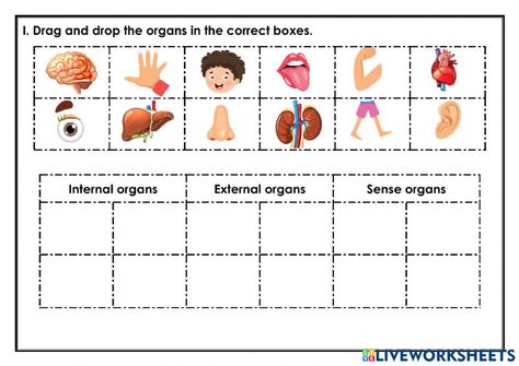 Dot Worksheets, Body Organs, Respiratory System, Online Activities, School Subjects, Online Workouts, Google Classroom, Human Body, Dots