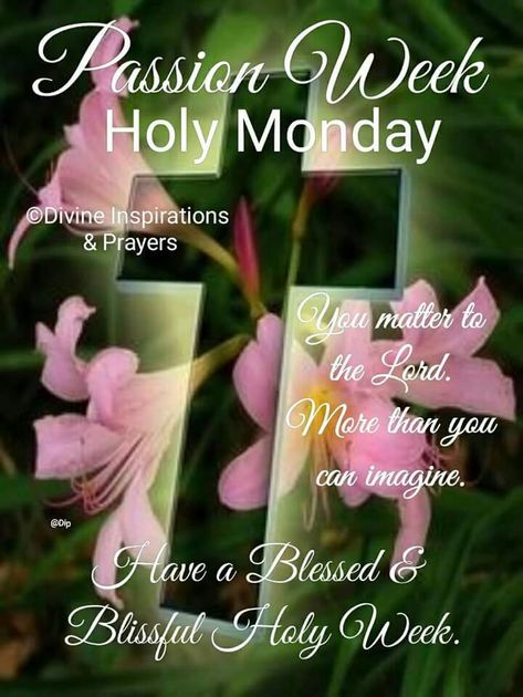 Palm Sunday Quotes, Holy Monday, Divine Inspiration And Prayers, Inspirational Morning Quotes, Scripture Blessings, Passion Week, First Sunday Of Advent, Good Morning Hug, Easter Prayers