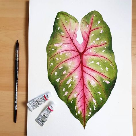 Illustration Botanique, Watercolor Plants, Leaf Drawing, Watercolor Flower Art, Plant Painting, Plant Drawing, Watercolor Art Lessons, Botanical Painting, Botanical Watercolor