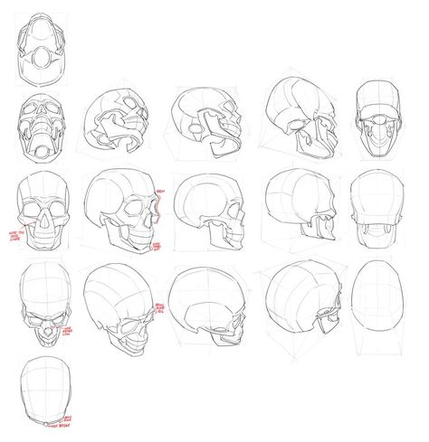 (4) pikat is learning to draw (@pikatstudies) / X Perspective Face, Draw Perspective, Drawing Wrinkles, Learning To Draw, Anatomy Tutorial, Drawing Heads, Anatomy Sketches, Anatomy For Artists, Figure Sketching