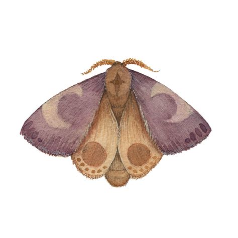 Sewn Art, Polyvore Fillers, Mincing Mockingbird, Insect Illustration, Moth Illustration, Tiled Quilt, Bug Collection, Moth Art, Ink And Watercolor