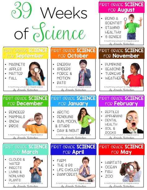 Science for first grade is all about creating hands-on engaging experiences for them! From health, to magnets, to spiders, to weather, to mammals, to objects in the sky and life cycles galore, there is simply so much to explore! Be set with these science for first grade lesson plans and activities for the ENTIRE YEAR!! First Grade Lessons, 1st Grade Science, First Grade Science, Curriculum Mapping, Science Topics, Science Units, Kindergarten Science, Budget Planer, Preschool Science