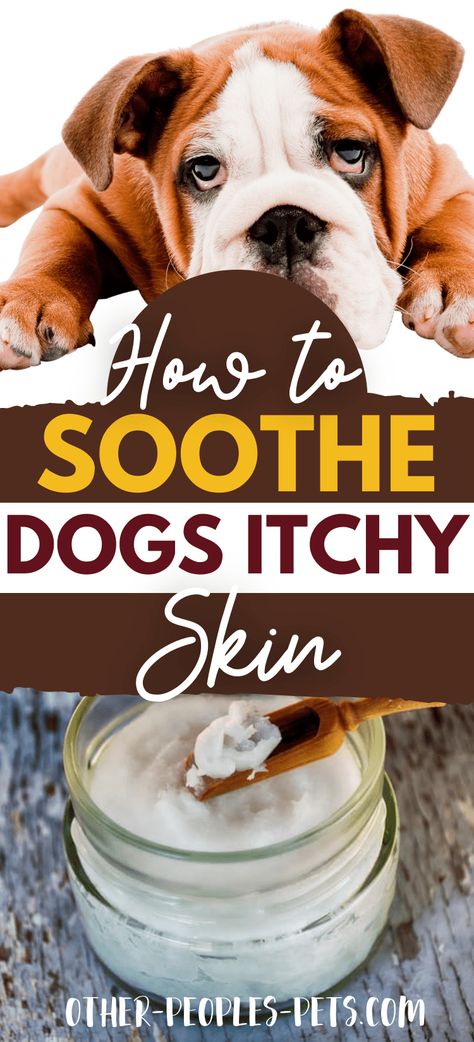 Soothe Dogs Itchy Skin | Other People's Pets Dog Dry Skin Remedy, Anti Itch For Dogs, Dog Rash, Dog Allergies Remedies, Itch Relief Skin, Itchy Dog Skin, Itchy Skin Remedy, Dog Dry Skin, Dog Skin Allergies