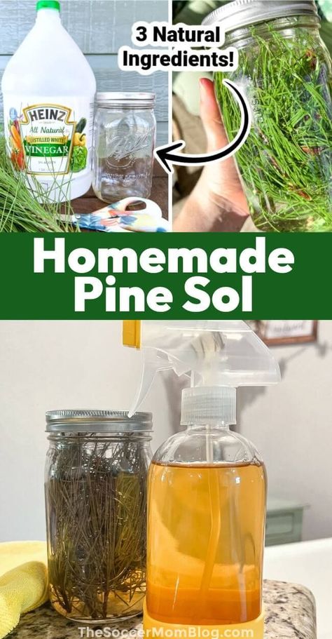 This DIY pine needle cleaner breaks down grime, wipes away clean, and leaves a fresh pine scent! It’s easy to make with simple, natural ingredients! Pine Tree Cleaner, All Natural Pine Cleaner, Diy Natural Pine Cleaner, Homemade Pine Needle Cleaner, Pine Vinegar Cleaner, Natural Pine Cleaner, Diy Pine Needle Cleaner, Homemade Pine Cleaner, Diy Pine Sol Cleaner