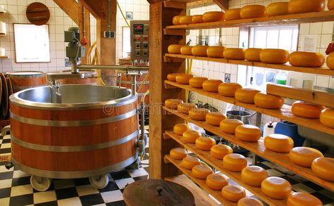 Cheese Factory, Cheese Shop, How To Make Cheese, Making Room, Goat Cheese, South Korea, Amsterdam, Dairy, Photo Image