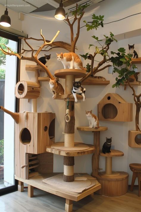 Cat In The House, Cat Wall Inspiration, House Cat Ideas, Cat Home Aesthetic, Cat Room Decor Ideas, Cat Friendly Furniture, Cat Cafe Design, Cat Cafe Interior Design, Aesthetic Cat Furniture