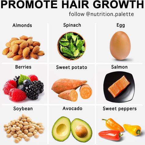 Healthy on Instagram: “Get Healthy Hair Naturally..👈🏻😋▪️Which one is your favourite❤️..!!? TAG YOUR LOVELY FRIENDS AND FAMILY 👨‍👩‍👧‍👦 By @nutrition.palette . .…” Atkins Diet Food List, Healthy Hair Naturally, Soft Foods To Eat, Baby Food Allergies, Get Healthy Hair, Arizona Food, Growing Hair, Promote Hair Growth, Soft Foods