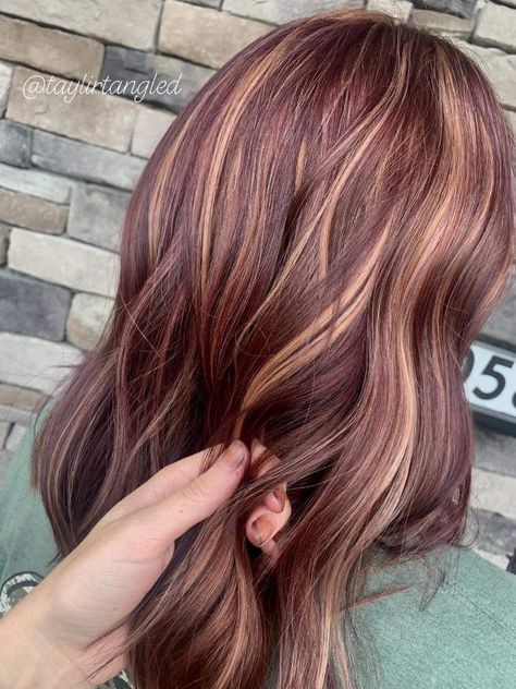 Red Hair With Colored Tips, Cherry And Blonde Highlights, Burgundy Hair With Brown Highlights, Wine Hair Color Burgundy With Blonde Highlights, Burgundy To Blonde Balayage, Cherry Coke Hair With Highlights, Blonde And Plum Highlights, Light Brown Burgundy Hair Color, Dark Burgundy Hair With Blonde Highlights