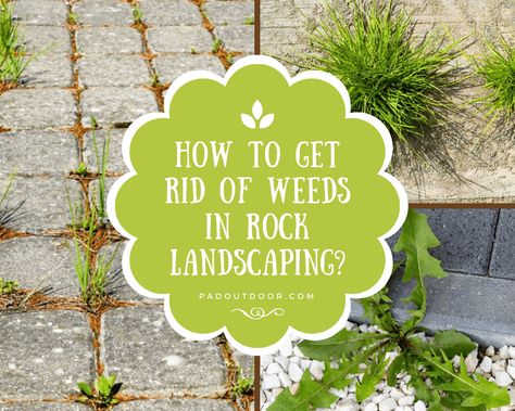 Keep Weeds Out Of Rocks, Weeds In Rock Landscaping, Get Rid Of Weeds In Rocks, How To Get Rid Of Weeds In Rocks, Zero Scape, Rock Edging, Rock Flower Beds, Rock Path, Killing Weeds