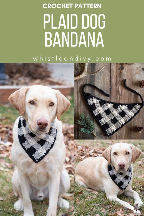 Your fur baby will look extra dapper this fall and winter with this crochet plaid bandana. Perfect for a stroll around the park or your next family picture! Crochet Dog Bandana Free Pattern, Crochet Dog Bandana, Crochet Plaid, Dog Bandana Pattern, Crochet Dog Clothes, Knitting Board, Dog Sweater Crochet Pattern, Plaid Crochet, Crochet Dog Patterns