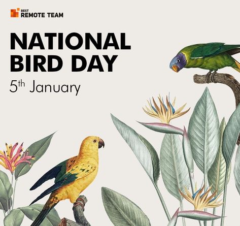 national bird day National Bird Day, Animal Calendar, Bird Day, Happy Bird Day, Bird Care, Holiday Calendar, Open Sky, The Cage, Comic Art Girls