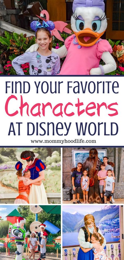 Where To Find Characters At Disney World, Disney Character Meet And Greet List, Disney Meet And Greet Characters, Best Times To Go To Disney World, Disney Character Meet And Greet, Disney World Character Meet And Greet, Character Meet And Greet Disney World, Disney Parks Characters, Character Dining At Disney World