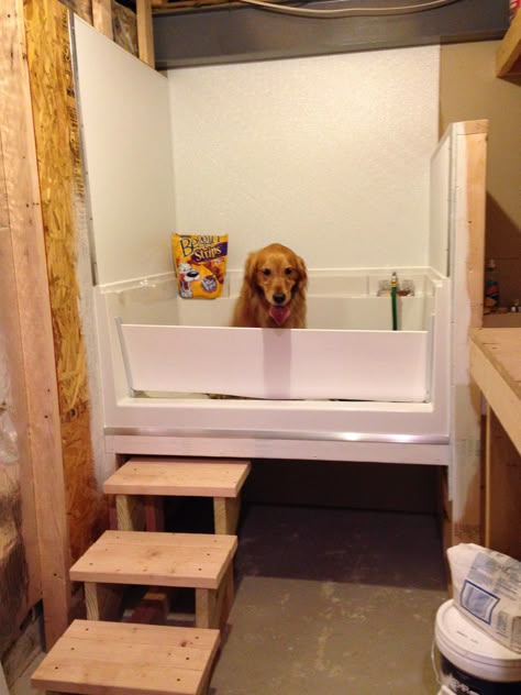 Diy Pet Washing Station, Grooming Room Ideas, Dog Grooming Salon Decor, Dog Bathing Station, Dog Wash Station, Diy Dog Wash, Dog Tub, Dog Bath Tub, Dog Station