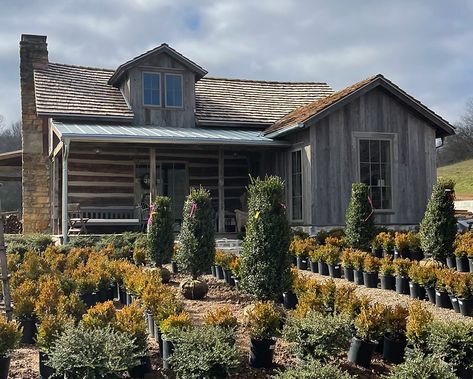 THE CABIN AT PATINA MEADOW Patina Meadow, Cabin At Night, Designing A Garden, Brooke Giannetti, Patina Farm, Cabin Farmhouse, Old Cabin, City Farmhouse, Log Wall