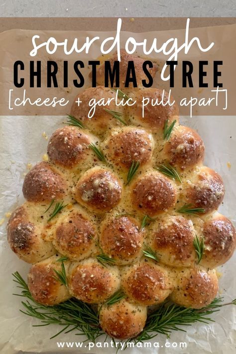 Sour Dough Bread Dinner Ideas, Christmas Appetizers Sourdough, Sourdough Christmas Wreath, Sourdough Christmas Ornaments, Sourdough Appitzer, Sourdough Christmas Tree Bread, Sourdough Bread With Discard, Christmas Tree Sourdough Bread, Bread For Christmas Dinner