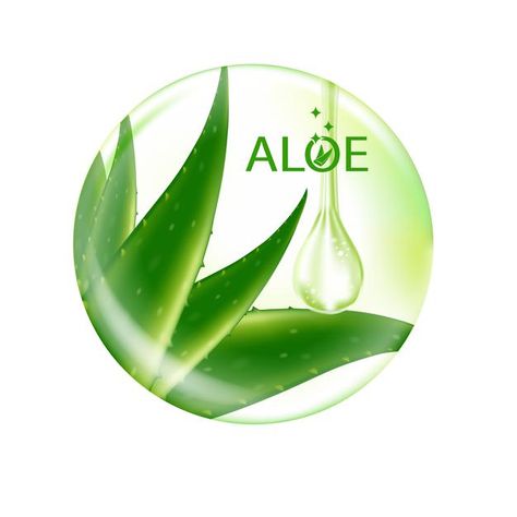 Aloe vera realistic plant skincare cosme... | Premium Vector #Freepik #vector #leaf #glitter #packaging #effects Aloe Vera Gel Packaging Design, Aloe Vera Packaging Design, Plant Skincare, Aloe Vera Image, Aloe Vera Gel Face, Vector Leaf, Instagram Questions, Forever Aloe, Moisturizing Face