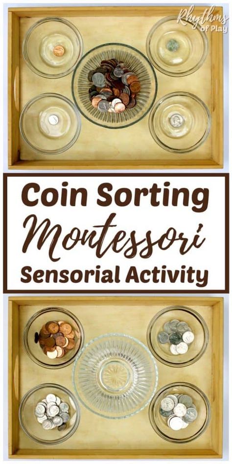 Coin Sorting, Aktiviti Tadika, Maluchy Montessori, Aktiviti Kanak-kanak, Montessori Practical Life, Montessori Preschool, Montessori Math, Montessori Ideas, Aktivitas Montessori