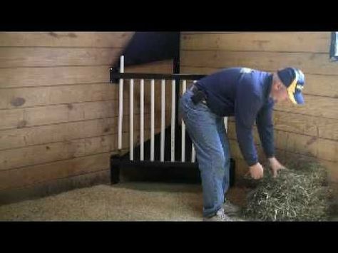 Corner Hay Feeder For Horses, Horse Stall Hay Feeders, Stall Hay Feeder For Horses, Corner Hay Feeder, Hay Feeder For Horses, Hay Rack, Horse Farm Ideas, Horse Paddock, Horse Hay