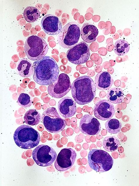 Biology Art Aesthetic, Hematology Wallpaper, Hematology Aesthetic, Histology Wallpaper, Immunology Aesthetic, Histology Aesthetic, Biomedical Science Aesthetic, Immunology Art, Hematology Art