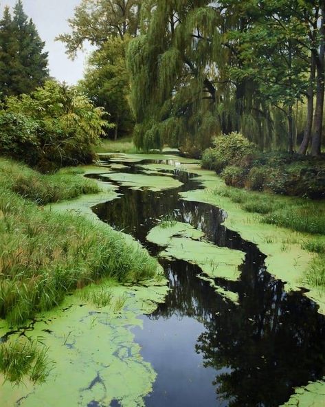 Renato Muccillo, Baba Jaga, Hyper Realistic Paintings, Blog Art, Realistic Paintings, Nature Aesthetic, Water Lilies, Pretty Places, Green Aesthetic