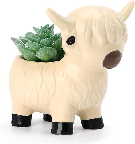 Cute White Highland Cow Planter Pot - The package includes a white highland cow succulent planter and a mesh pad. The color can decorate your home with a sense of bright farm life and comfort your home style. The unique highland cow figurine design planter can also be an attractive decor in your house. Large Size As A Succulent Planter - The planter is about 5.1"*5.9"*5.5"large, which can hold most sizes of succulent and small plants. There is a drainage hole in the bottom of each planter for pl Cow Planter, White Highland Cow, Plant Pot Ceramic, Summer Animals, Farm Animals Decor, Horse Room, Pot Ceramic, Highland Cows, Cow Gifts