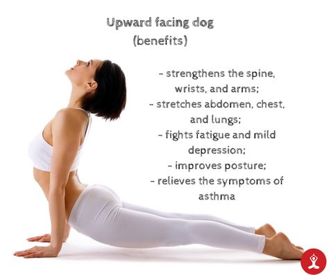 Upward Facing Dog Pose, Iphone Image, Upward Dog, Yoga Teacher Resources, Acro Yoga Poses, Air Yoga, Yoga Poses For Men, Upward Facing Dog, Yoga Poses For 2