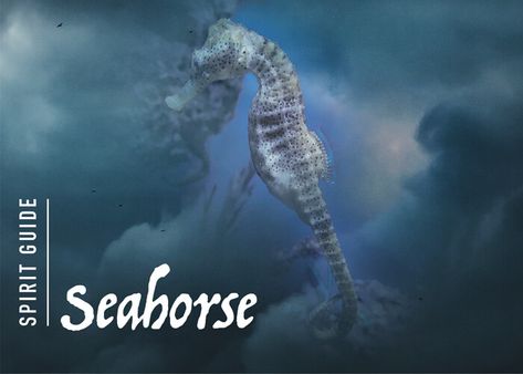 The Seahorse Spirit Animal - A Complete Guide to Meaning and Symbolism. Seahorse Meaning, Mythical Seahorse, Sea Horse Quotes, Seahorse Spiritual Meaning, Celtic Zodiac Signs, Seahorse Facts, Sea Horse Skeleton, Celtic Zodiac, Chinese New Year Zodiac