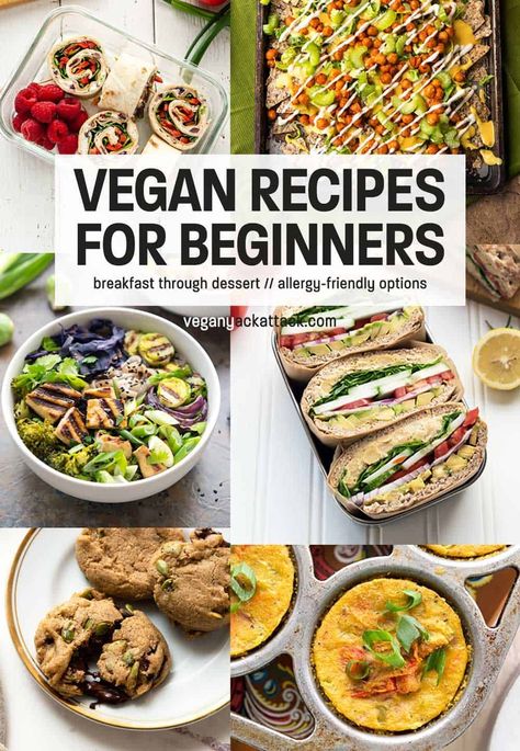 Whether you are striving to go plant based in the new year or just doing meatless Monday, Vegan Recipes for Beginners is a great place to start with dairy free, meat free recipes!