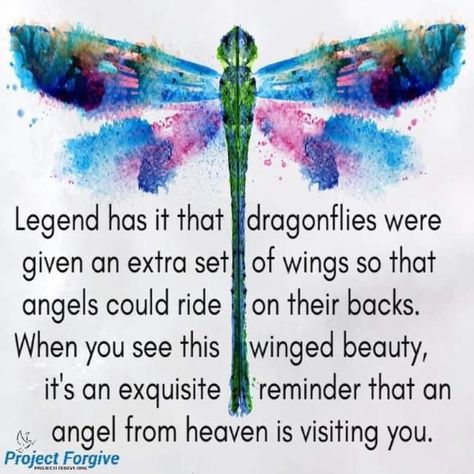 Angels and dragonflies.... Dragonfly Meaning Spiritual, Dragonfly Meaning, Dragonfly Symbolism, Dragonfly Quotes, Dragonfly Tattoo Design, Dragonfly Dreams, Dragonfly Tattoo, Spirit Guides, Dragonflies