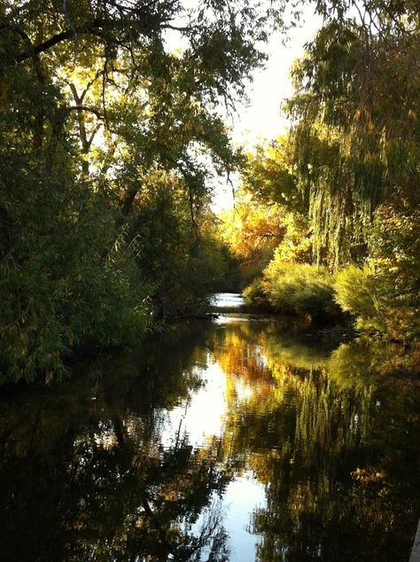 River Aesthetic, Landscape Study, River Delta, Pastel Landscape, Down The River, Illustration Inspiration, The River, Beautiful World, Vision Board