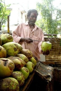 tender coconut vendor Nariyal Pani, India Street Food, Street Food India, Trinidadian Recipes, Tender Coconut, Coco Cabana, Desi Street Food, India Street, Benefits Of Coconut