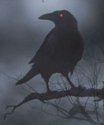 The truth revealed, with proof ahead- When the raven's eye glows red. Red Crow Aesthetic, Raven Pfp Bird, Demon Raven, Raven Background, Raven Magic, Raven Images, Red Crow, Raven Halloween, Red Raven