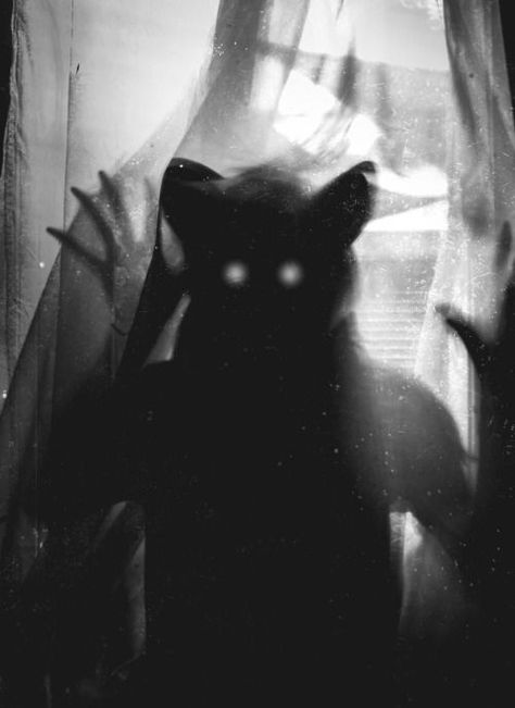 Myths & Monsters, Mask Aesthetic, Wolf Mask, Weird Pictures, Ghost, Batman, Mask, Google Search, Tumblr