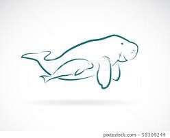 Dugong Tattoo, Manatee Tattoo, Turtle Drawing, Tattoo Simple, My Photo Gallery, Pretty Tattoos, Simple Tattoos, Sea Creatures, Tattoo Design