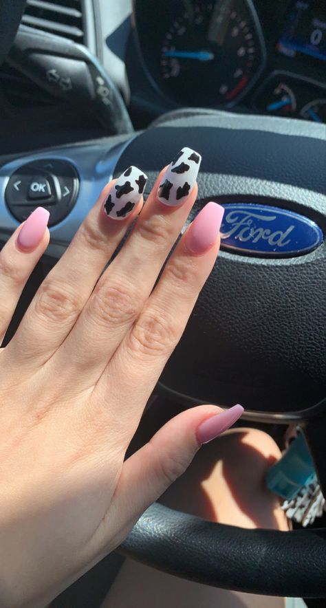 Glow In The Dark Cow Print Nails, Cow Accent Nail, Cow Print Pedicure, Light Pink Cow Print Nails, Pink Cowprint Nails, Pink Cow Print Nails, Western Style Nails, Preppy Cowgirl