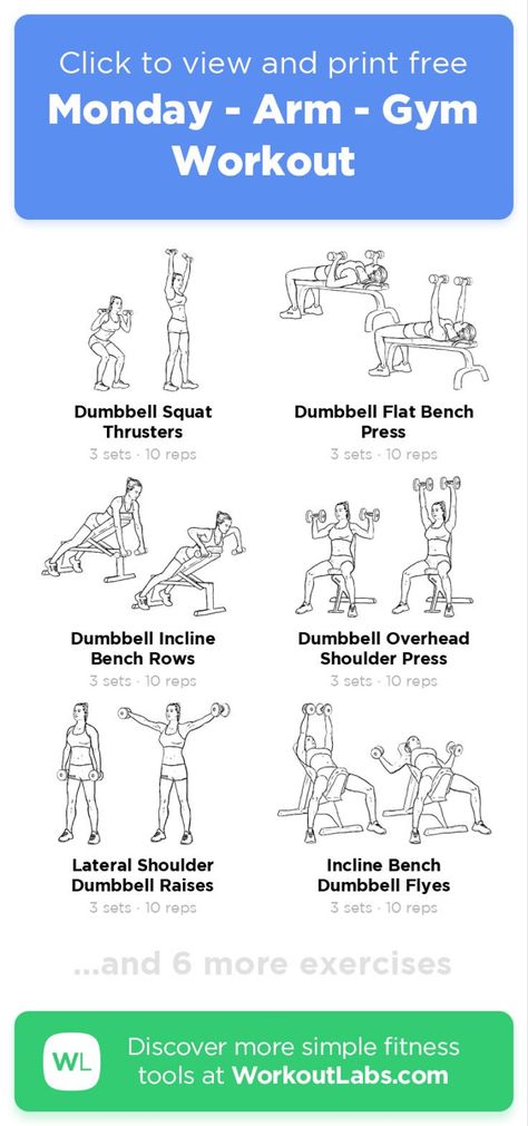 Weekly Gym Workout Plan For Women Machines, Apartment Gym Workout, Arms Gym Workout, Gym Weekly Workout Plan, Beginners Gym Workout Plan, Arm Workout Routine, Arm Workout Gym, Arm Day Workout, Workout Sheets