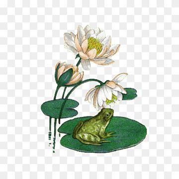 Lily Pond Tattoo, Pond Tattoo Ideas, Frog Lily Pad Tattoo, Frog Lily Pad Drawing, Frog On Lily Pad Tattoo, Frog Pond Tattoo, Frog And Lotus Flower Tattoo, Frog Drawing On Lily Pad, Lilypad Tattoo