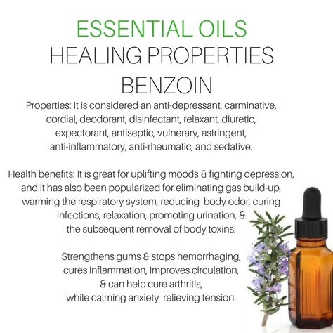 Benzoin Essential Oils Benzoin Essential Oil, Healing Essential Oils, Respiratory System, Healing Properties, Beauty Care, Health Benefits, Deodorant, Aromatherapy, Essential Oil