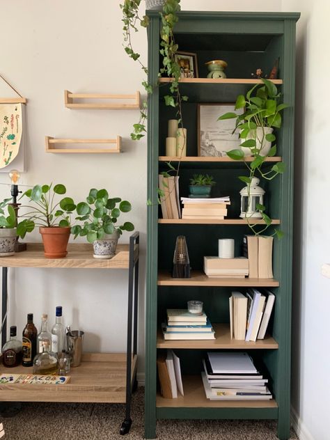 Ikea Bookshelf Brown, Ikea Shelves Brown, Walnut Colour Furniture, Bookshelf Remodel Ideas, Bookshelf Renovation Diy, Old Ikea Furniture, Green Bookshelf Decor, Diy Painting Bookshelf, Painting Ikea Bookcase