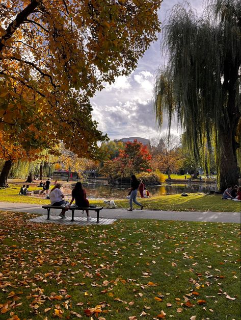 Autumn In Massachusetts, Oxford Fall Aesthetic, Fall Aesthetic Boston, Fall In Upstate New York, Boston Influencers, Fall In Boston Aesthetic, East Coast Autumn Aesthetic, New England Autumn Aesthetic, Boston During Fall