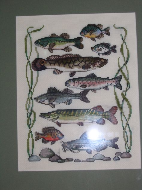 cross stitch of fish made for husband Fishing Cross Stitch Patterns, Fishing Cross Stitch, Fish Cross Stitch, Fish Crafts, Needle Crafts, Cross Stitch Love, Cute Cross Stitch, Pixel Pattern, Sewing Stitches