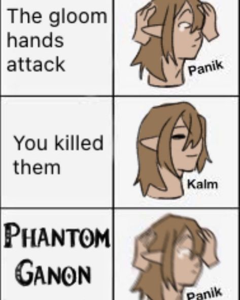 Tears If The Kingdom, Legend Of Zelda Tears Of The Kingdom, Totk Fanart, The Legend Of Zelda Art, Botw Zelda, Legend Of Zelda Memes, Zelda Funny, Zelda Botw, Tears Of The Kingdom