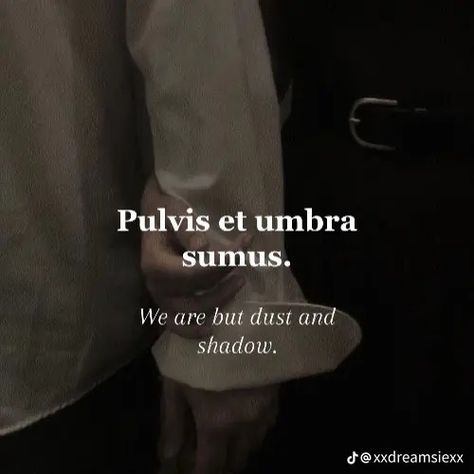 Latin Love Quotes And Meanings, Latin Quotes And Meanings, Quotes Latin And Meanings, Ancient Latin Quotes, Beautiful Latin Phrases, Dark Latin Phrases, Dark Academia Book Qoutes, Latin Quotes, Latin Phrases