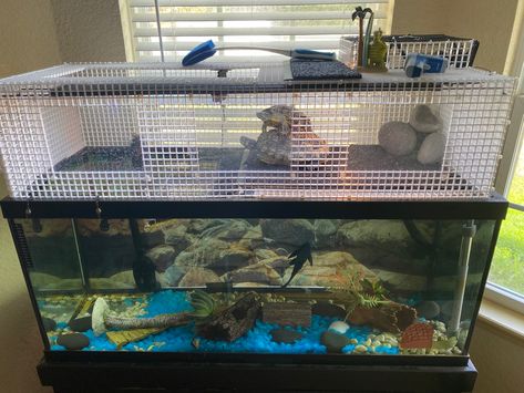 75 gallon freshwater aquatic turtle tank with custom basking area made from eggcrate lighting panels, acrylic, and rubber mats. Turtle Tank With Basking Area, Above Tank Turtle Basking Area, Aquatic Turtle Habitat Ideas Indoor, Semi Aquatic Turtle Habitat, Diy Basking Area Turtle Tanks, Aquatic Turtle Tank Ideas, Turtle Tank Setup Ideas, Turtle Setup, Turtle Basking Area