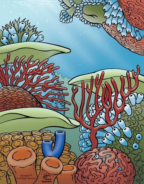 #sealife #sealife #gcse Ocean Drawing Underwater, Drawing Underwater, Coral Reef Plants, Coral Reef Drawing, Ocean Scape, Ocean Creatures Art, Coral Drawing, Ocean Mural, Coral Reef Art