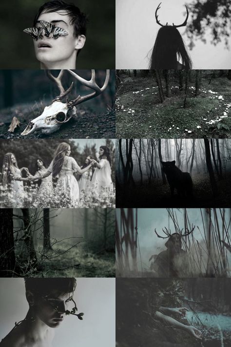 Mythology Edits | The unseelie court  “Consists of darkly-inclined fairies  ” Swamp Demon, Dark Faerie Aesthetic, Faerie Aesthetic, Fae Aesthetic, Rivers Streams, Evil Fairy, Slavic Mythology, Shape Shifter, Mermaid Aesthetic