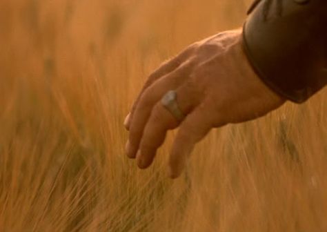 Ring from Gladiator. Russell Crowe Gladiator, Romeo And Juliet Story, Gladiator Movie, Epic Movie, Ancient Statues, Russell Crowe, The Two Towers, Ridley Scott, Wheat Field