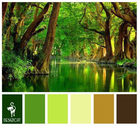 Rain Forest: Brown, Coffee, Sand, Beige, Green, Leaf, apple, Lime - Colour Inspiration Pallet Lime Green And Brown Color Palette, Rain Forest Color Palette, Green Kitchen Countertops, Forest Color Palette, Green Wall Color, Trendy Kitchen Colors, Forest Brown, Forest Color, Brown Color Palette